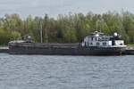 GMS CALA JONDAL, ENI 02324258 / L 54,94 m, B 7,20 m, 685 t, gemeldet in Wessem (NL), liegt auf dem Alberkanal nahe der Schleuse von Lanaye und wartet auf die Schleusung. 17.09.2026