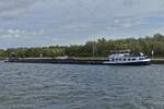 GMS FIDUCIE, ENI 02316484, L 110 m, B 10,06 m, liegt im Albert Kanal und wartet auf gr�nes licht zum Einfahren in die Schleus Lanaye. 17.09.2026
