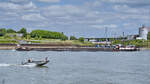 Das Gütermotorschiff HARLEY (ENI: 04700060) auf dem Rhein, so gesehen im Mai 2025 in Duisburg.