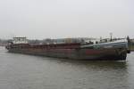 MS Johanna , 04011230 , 67 x 8.20 , am 27.10.2011 auf dem MLK kurz vor dem Überqueren der Trogbrücke. Das Schiff kommt aus der Schleuse Hohenwarthe.