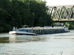 GMS Janet , 04008030 , 80 x 8,03m , am 06.09.2016 auf dem Mittellandkanal bei Bergfriede Richtung MD in Fahrt.