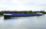 GMS Lazaro, rheinaufwärts, in Warteposition vor der Schleuse Vogelgrün/Elsaß, L= 110m, Tonnage 2879t, 2000PS, Baujahr 2004, Heimat Belgien, Nov.2024