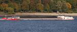 Binnenfrachtschiff NIEDERSACHSEN 22 (ENI 02323514); Datum: 13.10.2025; Aufnahmeort: Elbe/Hafen Hamburg, Deutschland.