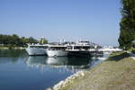 Breisach am Rhein, Bugansicht der Flußkreuzfahrtschiffe v.r.n.l.
 Avalon Express -Hamburg,  Amaserena -Basel,  Alena -Valetta/Malta, Aug.2019
