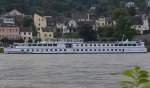 MS HORIZON ein Flusskreuzfahrtschiff  bei Erpel auf dem Rhein beobachtet am 21.09.2013