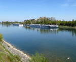 Blick auf Breisach am Rhein mit dem Anleger für Passagierschiffe, April 2018