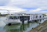 KFGS River Diamond, ENI 099480, ankert vor der Staustufe Vogelgrün/Elsaß am Rhein, Nov.2025