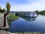 KFGS Symphonie, am Anleger in Breisach am Rhein, Heckansicht, April 2024