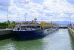 KFGS Thurgau Gold, ENI 02339819, wird in der Schleuse Vogelgrün/Elsaß rheinabwärts geschleust, Juli 2025