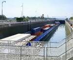 SGMS Gavialis, ENI 02325059, und GSL Gavialis II, ENI 02333990, wird in der Schleuse Vogelgrün/Elsaß rheinabwärts geschleust, die Schleusenlänge wird von Koppelverbänden dieser Ausmaße voll ausgenutzt, Juli 2025