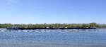SGMS INGE ENI 02331067 und GSL INGE II ENI 02330600, rheinabw�rts nach Breisach, April 2026