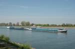 Der Schubverband NAVIGARE auf dem Rhein bei Gernsheim als Talfahrer.