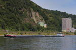 Procyon I und II am 22.06.2025 in Lahnstein am Rhein