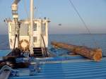 Schubboot 2434 am 01.12.05 als Holztransporter. Die Reibepfhle wurden im Hafen Barth aufgeladen und waren fr die Baustelle an der Meiningenbrcke bei Zingst bestimmt.