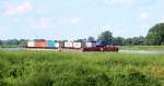 Knapp über das Ufergras zu sehen kommt am 24.05.2014 ein Container-Schubverband mit Schubboot SCH 2637 (05800980) bei Grieben/Ferchland die Elbe zu Berg