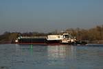 Kasko-Transport auf der Elbe zu Tal am 18.02.2019 bei Storkau. Die Tschechischen Schubboote TR 15 (32200210 - am Heck) & TR 30 (32201070 - am Bug) brachten den  Tankerrohling  CT-1765/Spera von Tschechien nach Hamburg.