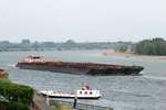 SB Veerhaven VII Walrus (02319631 , 40 x 15m) kam am 07.07.2017 mit einem 6er Pack leerer Leichter bei Rees auf dem Rhein zu Tal. Die Personen/-Fahrradfähre Rääße Pöntje wartete an diesem Morgen auf die ersten Fahrgäste.