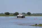 TMS Benza (04811050 , 84,99 x 9,59m) am 07.06.2016 auf Elbe-Talfahrt bei Ferchland.