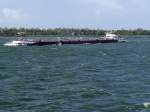 DINARA (MMSI:244670466;L=125; B=11mtr)am Weg Richtung Antwerpen;100830