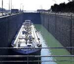 TMS Dordrecht, rheinabwärts, in der Schleuse Marckolsheim/Elsaß, März 2025