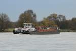 TMS Dettmer Tank 53 (04017280 , 80 x 9m) am 03.11.2014 auf der Elbe bei Hohenwarthe auf Talfahrt.