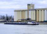 TMS Fenne, rheinaufwärts bei der Vorbeifahrt am Hafen Neubreisach (Neuf-Brisach)/Elsaß, Feb.2025