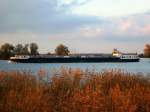 TMS Lena (04809730 , 84,72 x 9,50m) am 12.11.2015 auf der Havel bei Deetz zu Tal. 