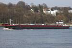 Binnentankschiff LENA MARIE (ENI 04806240); Datum: 19.03.2026; Aufnahmeort: Elbe/Hafen Hamburg, Deutschland.