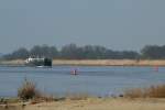  Elbe-Strand  und ein TMS - in diesem Fall das TMS Navio (ENI 04005120 , 85 x 9m) am 10.03.2015 auf der Elbe bei Sandau auf Bergfahrt.