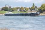 Hier ist das Tankschiff MS Ocean kurz vor der Kardinal-Frings-Brücke zwischen Neuss und Düsseldorf auf dem Rhein zu sehen.