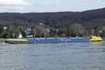 TMS Piz Languard auf dem Rhein in Remagen - 16.03.2020