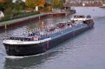 TMS NOORDERHOOFD - 02324736 - Lnge: 80 m - Breite: 8,20 m - Tiefgang: 2,20 m - Tonnage: 1227 - PS 750-Deutz - Bj 1959 bei der Lankewerft in Berlin - Spandau - Gemeldet in Almelo/NL. Zu Tal im DHK Preussen-Hafen am 8.10.2009.
