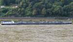 TMS RENATE,  Binnentankschiff, bei Unkel am Rhein beobachtet am 21.09.2013.