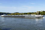 TMS  RP BRUGGE  auf dem Rhein in Remagen - 13.10.2019