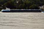TMS Sophia ein Tankschiff mit Heimathafen Tholen auf dem Rhein bei Unkel am 21.09.2013.
