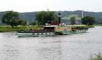 PD KRIPPEN in Radebeul - West, Baujahr 1892 (19.06.2009)