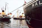 Dampf-Rundum Flensburg 2007 mit den Dampfschiffen  Wal ,  Stettin  und  Bussard 