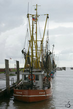 Der Fischkutter Delphin  DOR 8  im Nordseehafen von Dorum (August 2006)