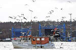 GOT 11 NEPTUN am 25.02.2023 im Hafen von Lübeck-Travemünde