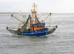 Baumkurrenfischerei. Der Krabbenkutter POLARIS, Fischereinummer NEU 230, im Wattenmeer zwischen Neuharlingersiel, Spiekeroog und Langeoog am Morgen des 15. Mai 2014.