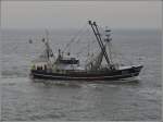 Fischerboot  Boreas St 2; gebaut 1961 bei Visser in Den Helder; Lnge 26m Breite 6m.