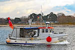 TRA 006  SANTOS  am 26.01.2021 in Lübeck-Travemünde einlaufend