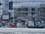 Anfang April 2024 waren im Fischereihafen von Travemünde jede Menge Fischereiboote zu sehen, unter anderem BÜFFEL, JAN II, CHRISTOPH und FRED.