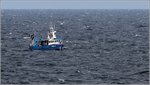 Die NIE-8 ist am 28.08.2016 auf der Ostsee unterwegs. Sie wurde 2013 gebaut und ist 11,98 m lang. Heimathafen ist Niechorze (Polen).