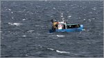 Die SWI-82 ist am 28.08.2016 auf der Ostsee unterwegs. Sie wurde 2003 gebaut und ist 11,95 m lang. Heimathafen ist Swinoujscie (Polen).
