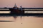 Fischereiboot CARMEN BANDEIRA aus Vila Real de Santo António läuft bei Sonnenuntergang in den Hafen von Olhão ein / gesehen in Olhão (Distrikt Faro/Portugal), 03.02.2019