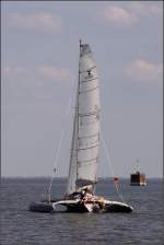 Ein Trimaran kreuzt am 23.08.2009 auf dem Jadebusen.