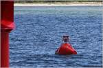 In der Kieler Förde vor Laboe in der Nähe der Backbordtonne 6 ist noch eine der wenigen Glockentonnen im Einsatz. Der Wellengang führt dazu, dass Klöppel von außen unregelmäig gegen die Glocke schlagen. Dieses Schallsignal warnt vor einer Untiefe. 05.07.2017