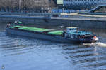 Das tschechische Binnenfrachtschiff ALBIS (08455001) im April 2018 unterwegs auf der Elbe in Dresden.