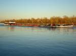 MS  Neuenburgersee ,das vollbeladene Schweizer Frachtschiff  rheinaufw�rts kurz vor Breisach/Baden,  Dez.2009
